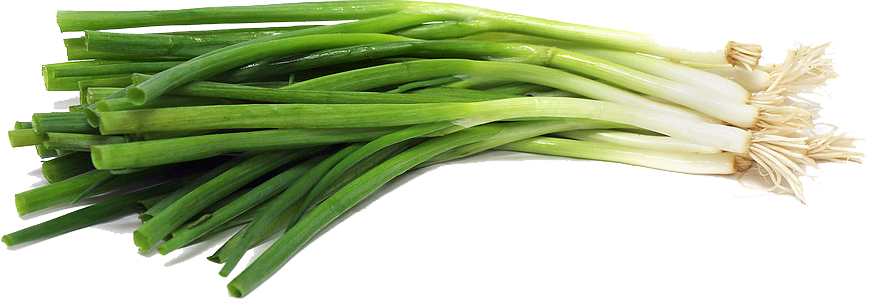 Green Onion Png File - Green Onion Png (872x301), Png Download