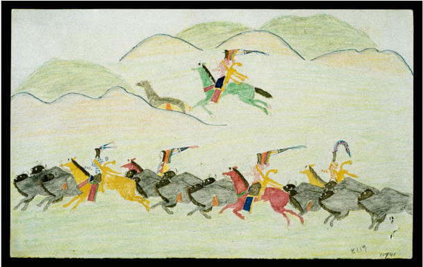 Drawing Of Buffalo Hunting By Shave Head, Or O Uk Ste - Drawing Of Indian Heritage (800x383), Png Download