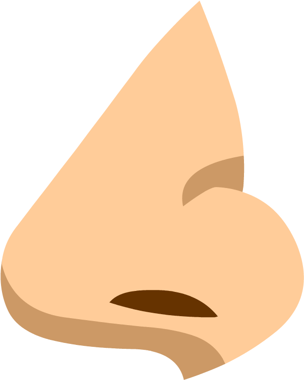 Cartoon Nose Png (880x880), Png Download