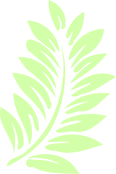 How To Set Use Palm Leaf Clipart (396x592), Png Download