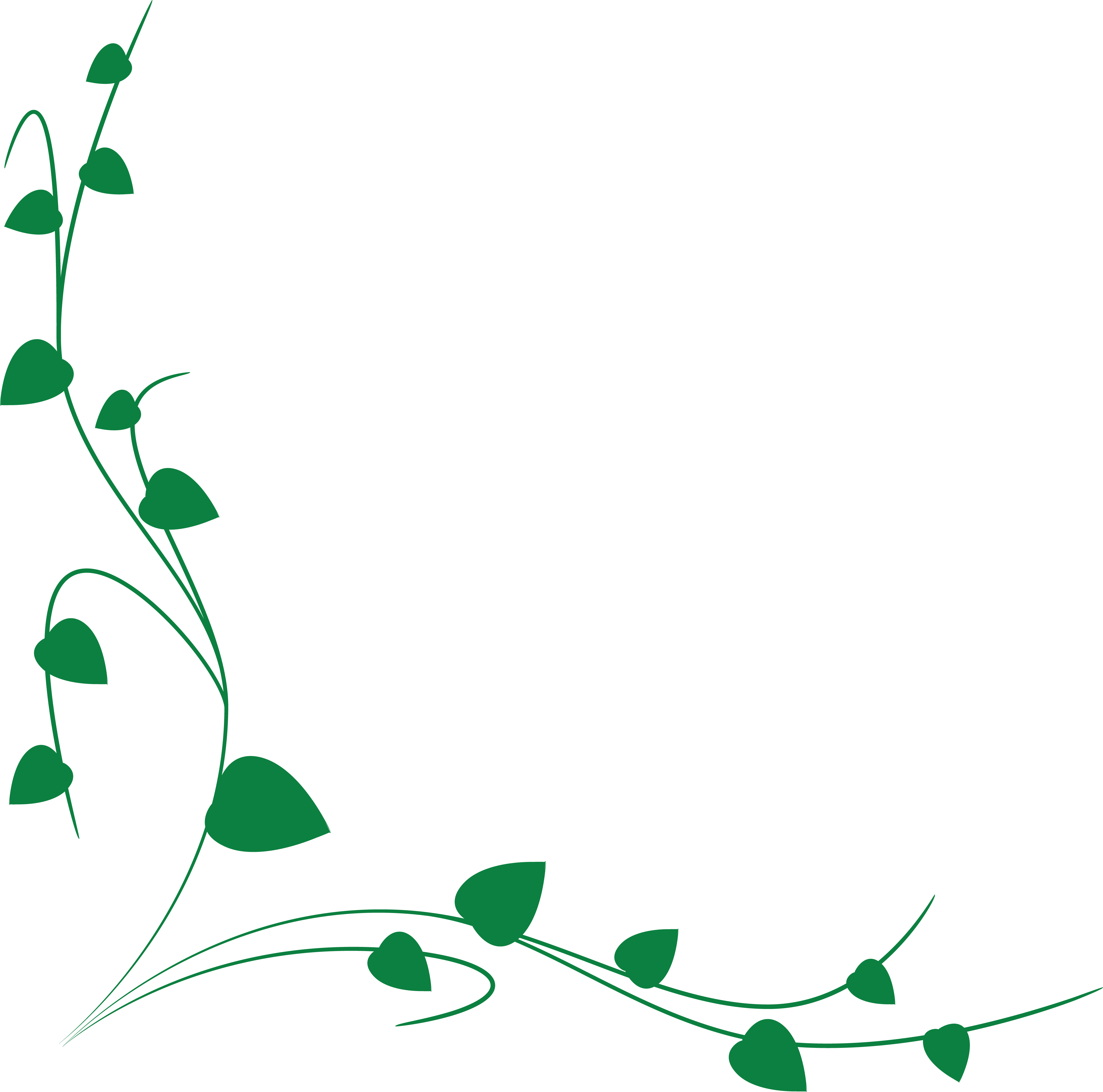 Graphic Library Stock Collection Of Green Vine High - Vine Border (4000x3959), Png Download