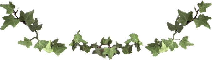 Vine 1 - Animal Jam Clans (688x221), Png Download