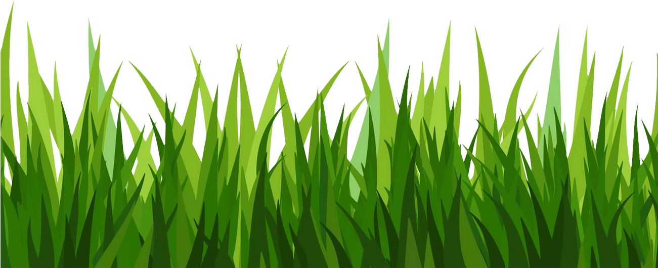 Grass Png Images Free Download Backgound Beautiful - Transparent Background Grass Png (1300x1232), Png Download