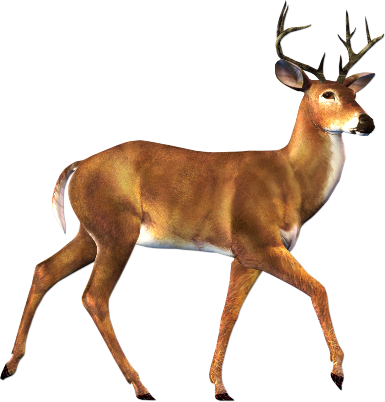 Free Png Deer Png Images Transparent - Deer Png (481x501), Png Download