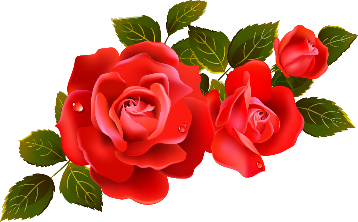 Red Rose Png Image - Red Roses Clip Art (1024x633), Png Download