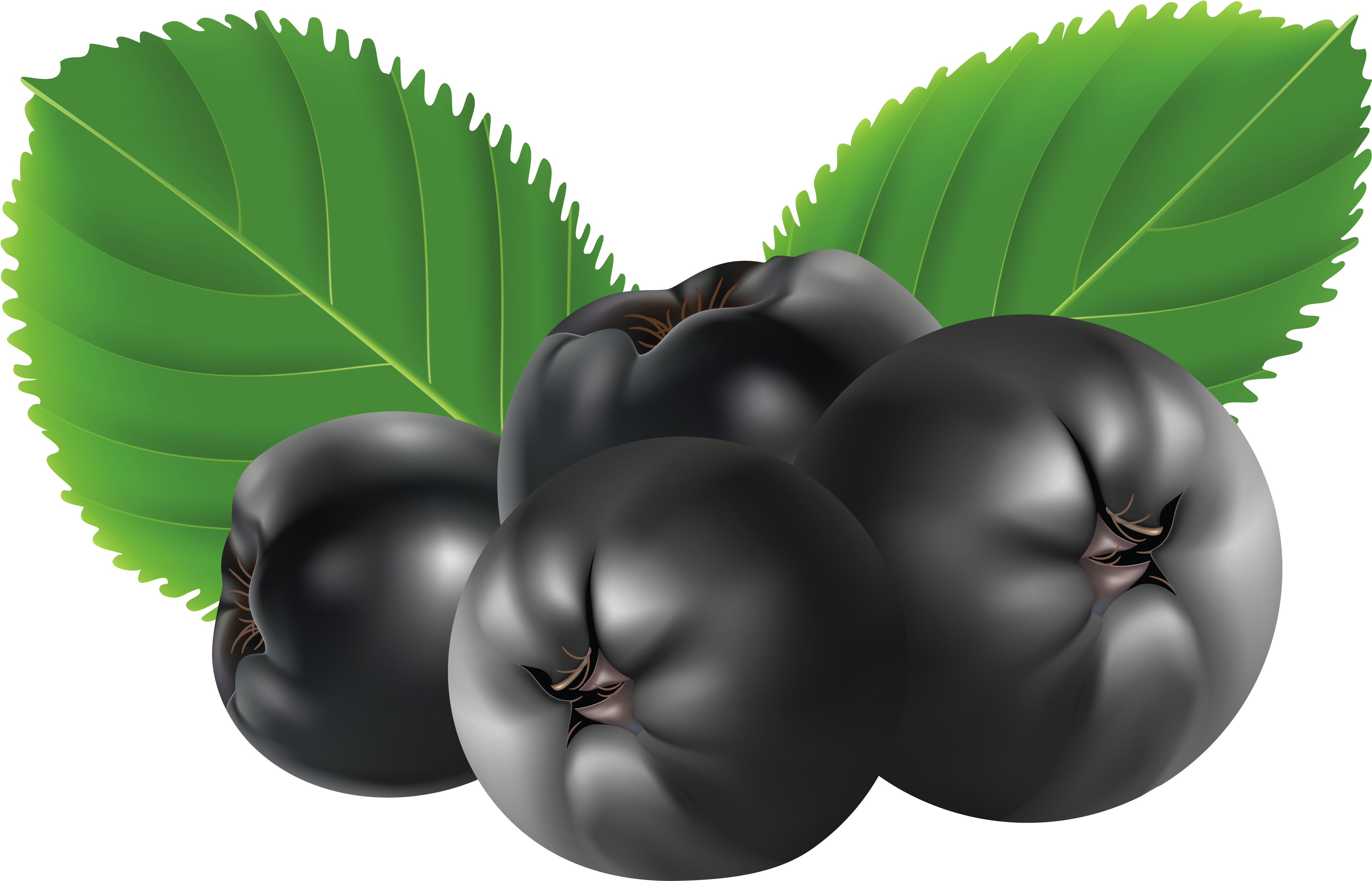 Blueberries Png - Blue Berry Png (4233x2695), Png Download