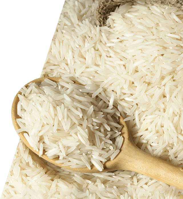 Rice Png (641x700), Png Download