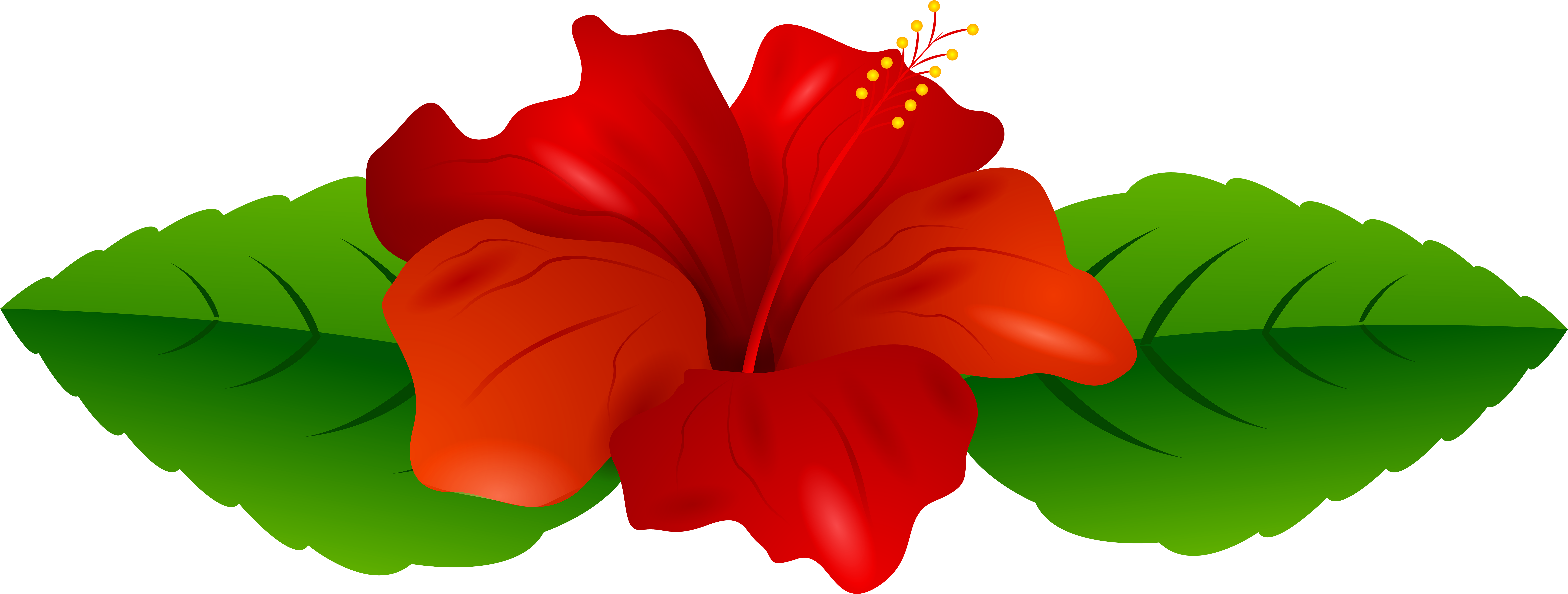 Red Hibiscus Transparent Png Clip Art Image Hibiscus Flower Clipart Full Size Png Download Seekpng