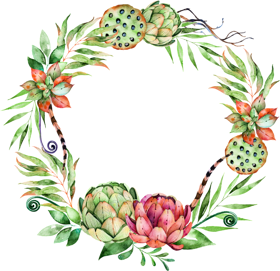 Hand Painted Succulents Wreath Hd Photos Free - Flower Wreath Succulent Png (1024x994), Png Download