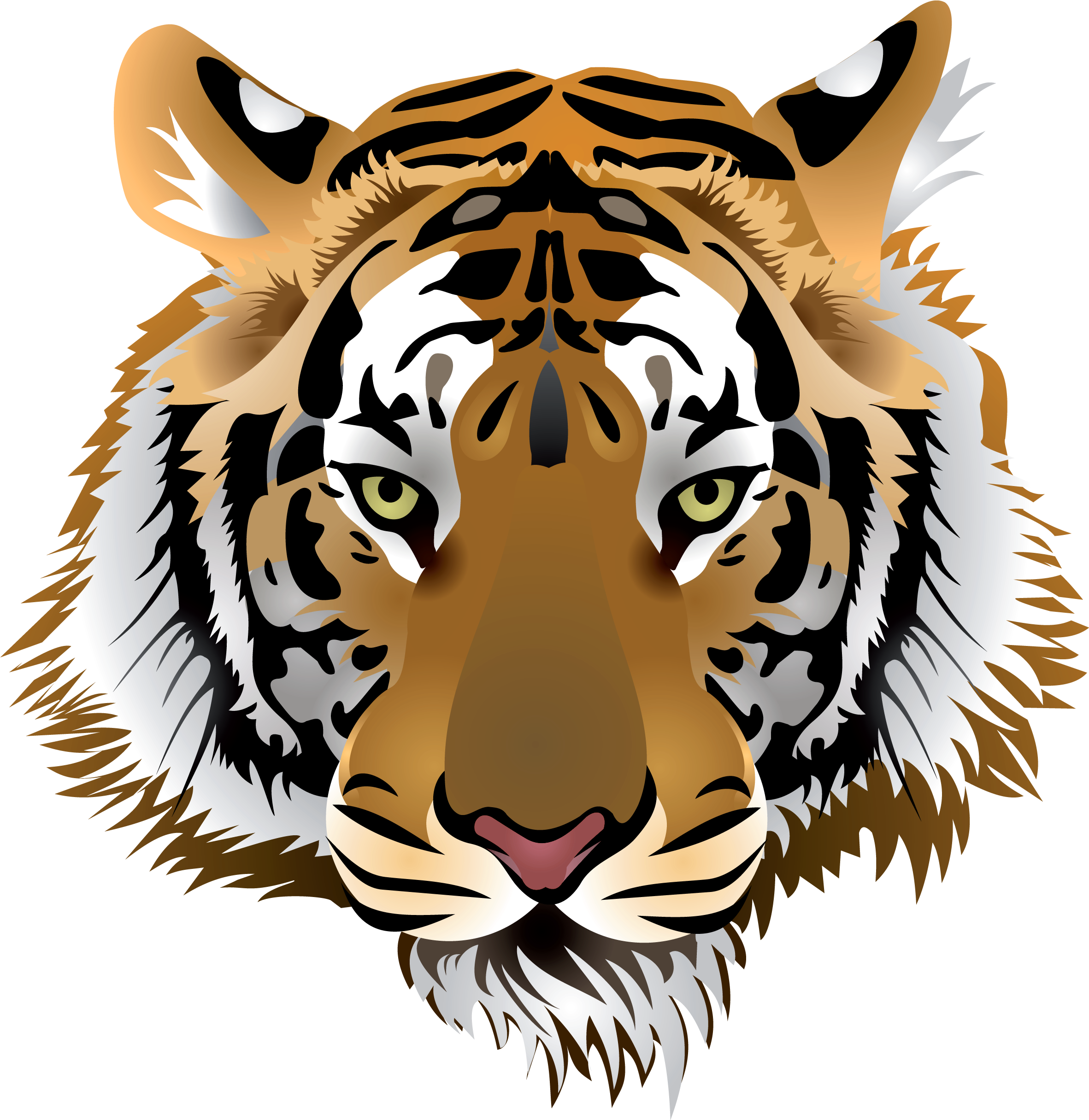 Royalty Free Library Africa Clipart Exotic Animal - Tiger Head Png (487x500), Png Download