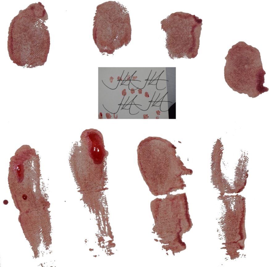 Bloody Fingerprints Stock By - Bloody Fingerprint Png (883x905), Png Download