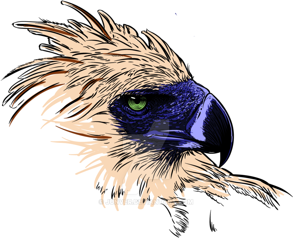 Philippine Eagle Clipart Philippine Eagle Logo - Philippine Eagle Clipart Png (1024x1230), Png Download