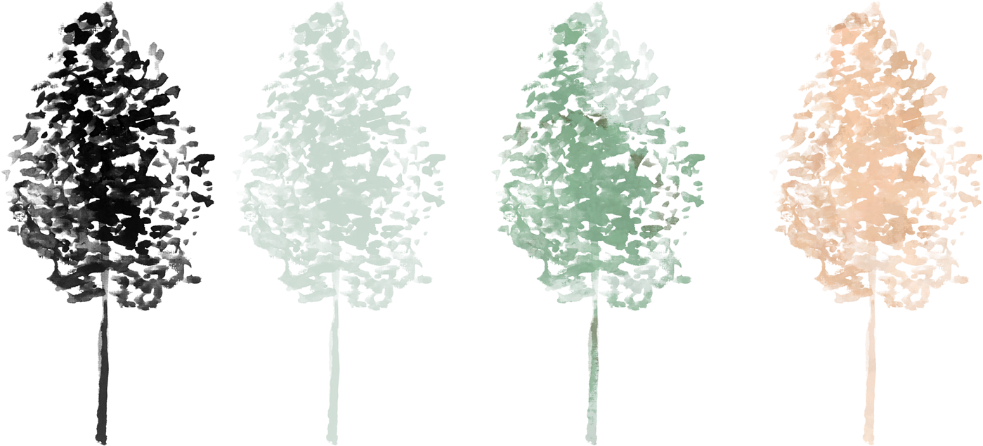 If You Want To Learn The Simple Process Of How To Use - Christmas Tree (1700x793), Png Download