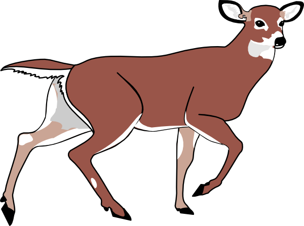 Baby - Animated Deer Png (600x446), Png Download
