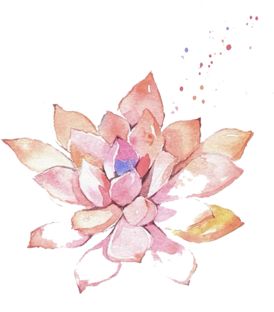 Ftestickers Watercolor Painting Flower Succulent Pink - Watercolor Painting (1024x1068), Png Download