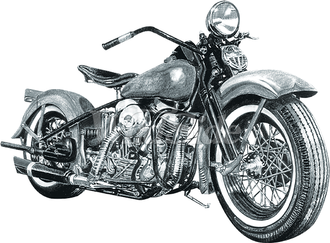 The Wild Side - Harley Davidson Drawing (675x675), Png Download