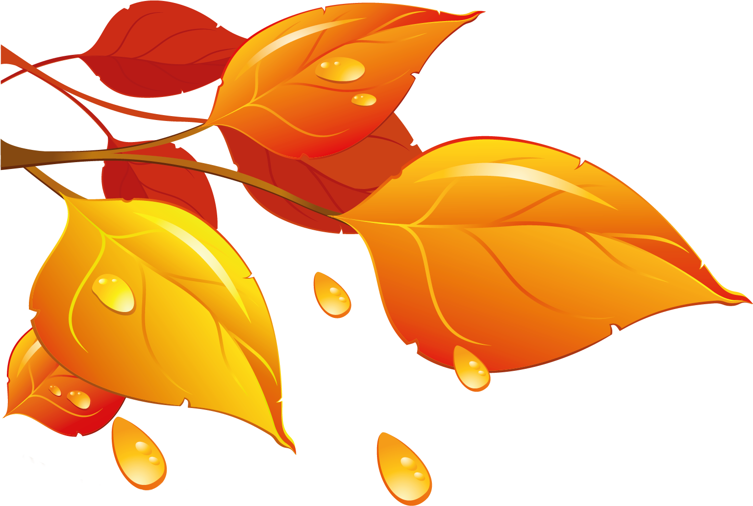Transparent Autumn Leaves Png Clipart - Fall Leaves Clipart (1703x1180), Png Download