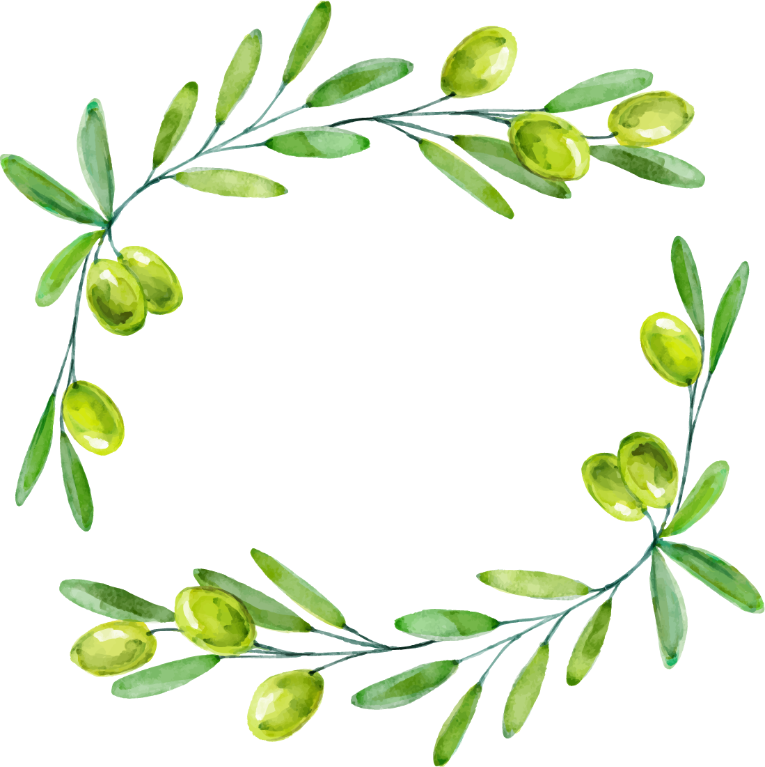 Watercolor Olive Branch Png - Decorative Leaf Border Png (1099x1101), Png Download