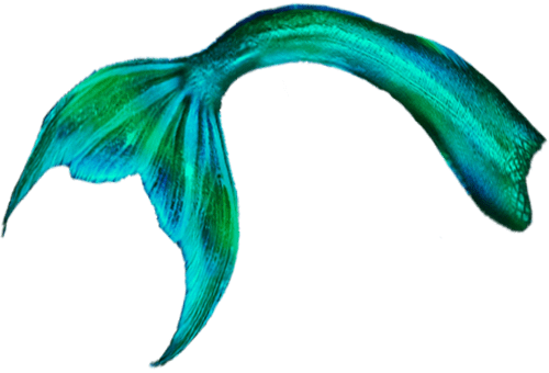 Mermaid Tail Transparent Background (500x340), Png Download