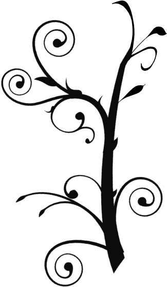 Branch Vine Swirl Clip Art At Clker - Vine Clipart Black And White (528x598), Png Download