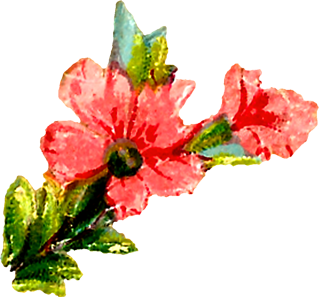 Pastel Floral Clipart Downloads - Flower (1200x1104), Png Download