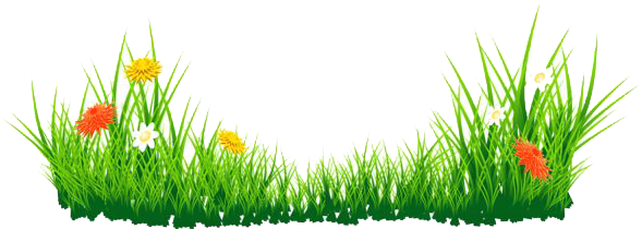 Download Png Image Report - Grass With Flower Clipart (600x211), Png Download