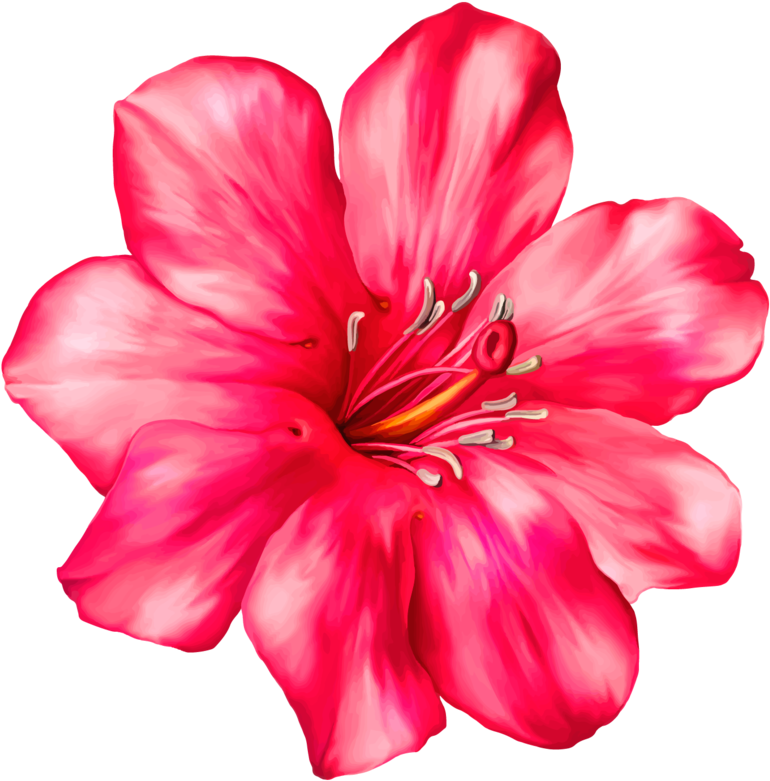 Exotic Pink Flower Png Clipart Picture - Hibiscus Tropical Flower Png (400x394), Png Download