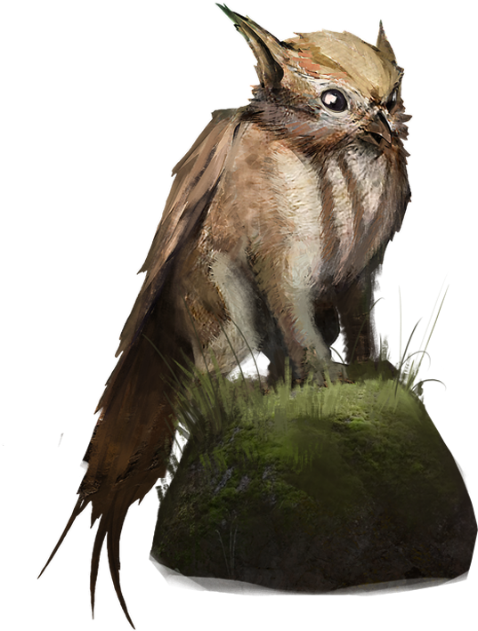 Watcher Of The Woods Pre-order Pack Cosmetic Pet - Portable Network Graphics (450x365), Png Download