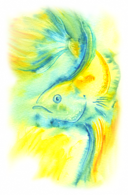 Png Betta Drawing Watercolor - Watercolor Painting (524x800), Png Download