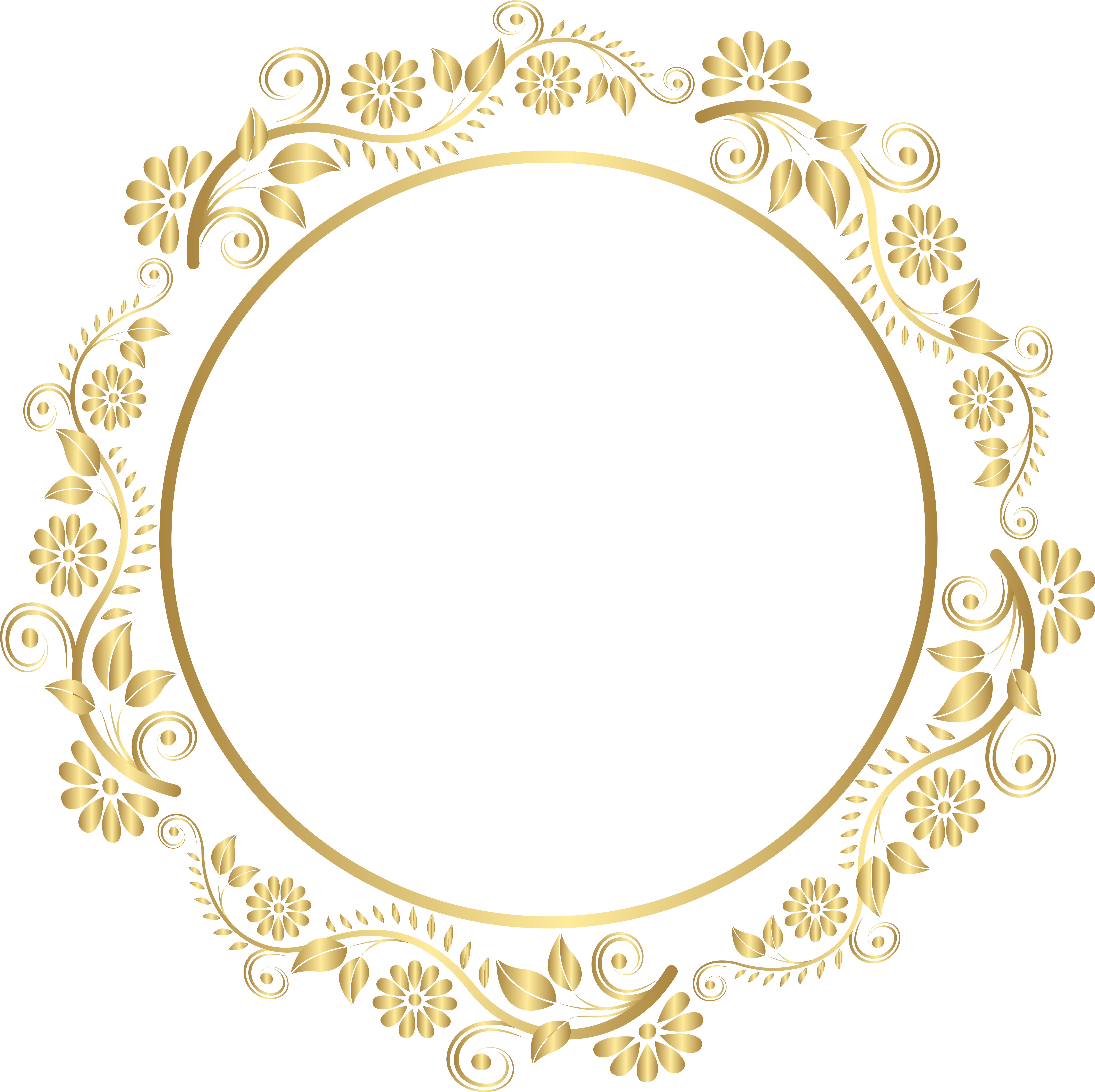 Circle Border Png (8019x8000), Png Download