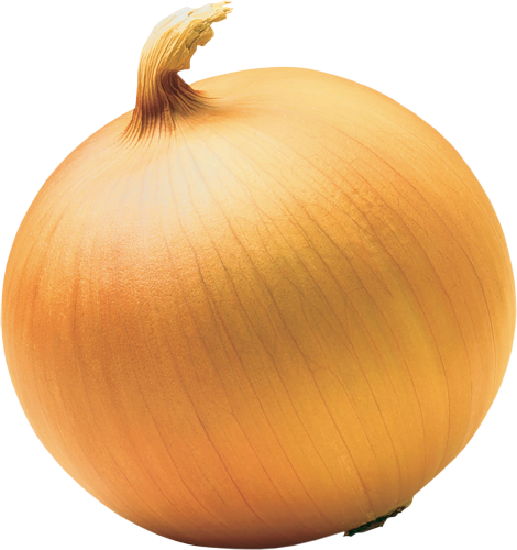 Onion Transparent (470x500), Png Download