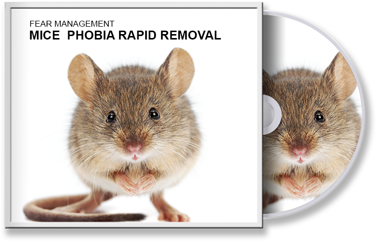 Mice Phobia Rapid Removal - Mice And Rats (818x544), Png Download