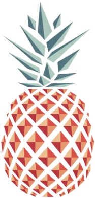 Pineapple Drawing (480x480), Png Download
