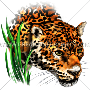 Jaguar In Grass - Wildlife - Big Face Jaguar In Grass Portrait Trucker (367x385), Png Download