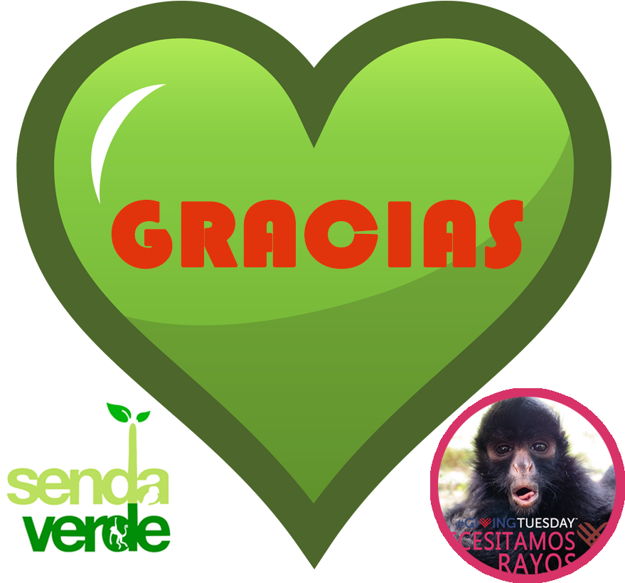 Thank You Heart Jaguar - La Senda Verde (600x600), Png Download