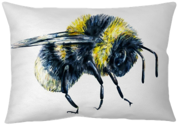 Bumblebee Isolated On A White Background - Bumblebee Drawing (400x400), Png Download