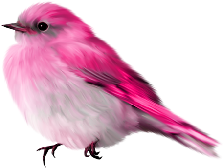 Rainbow Dreams Png - Blue Bird Gif Transparent (500x500), Png Download