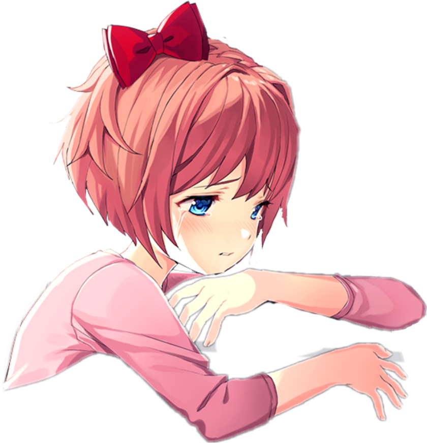 Anime Hug Dokidokiliteratureclub Sadgirl Crying - Doki Doki Literature Club Hug (1024x1024), Png Download