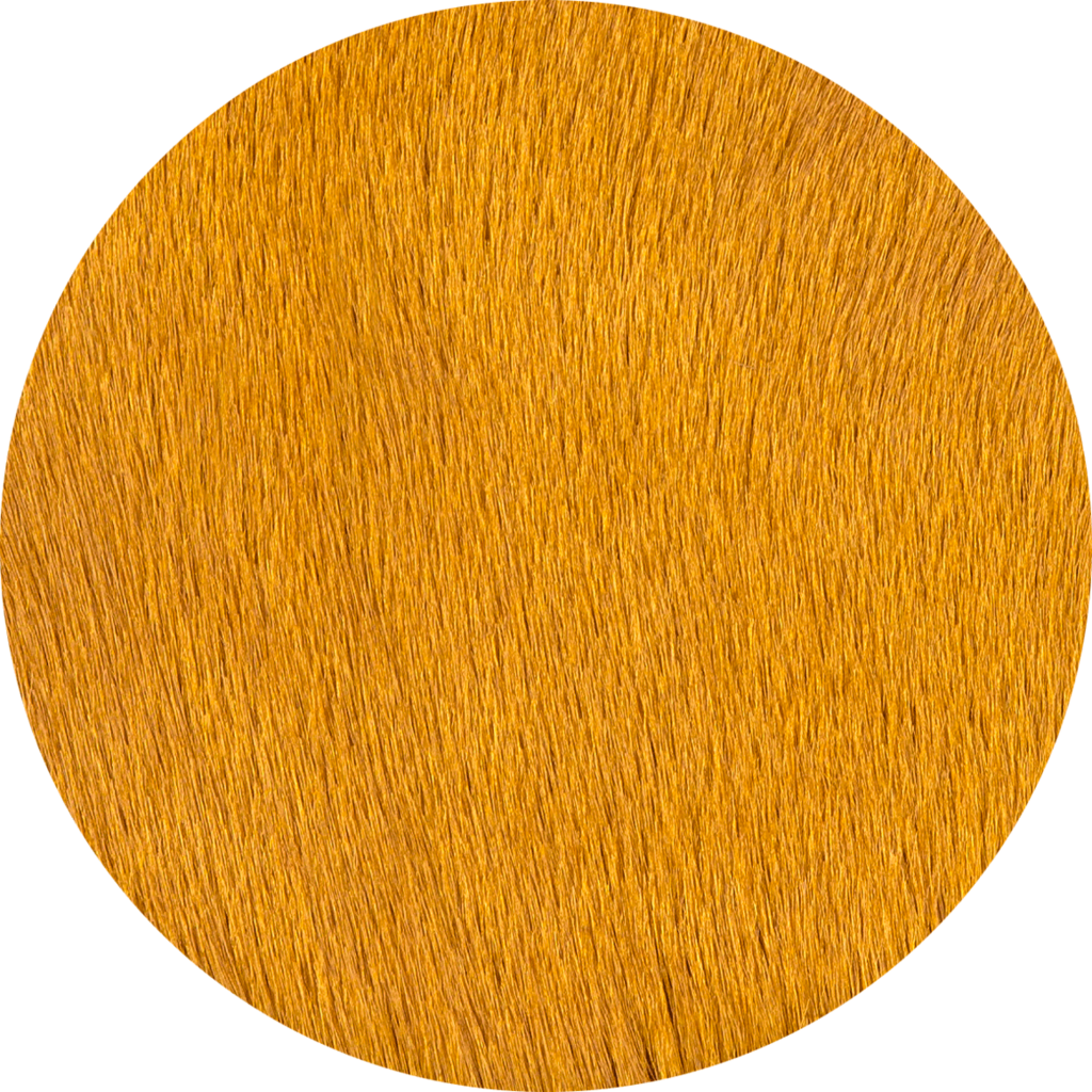 Mustard - Circle (1024x1024), Png Download