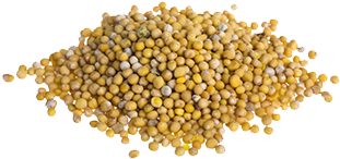Mustard Seeds Png - Mustard Seed (350x350), Png Download