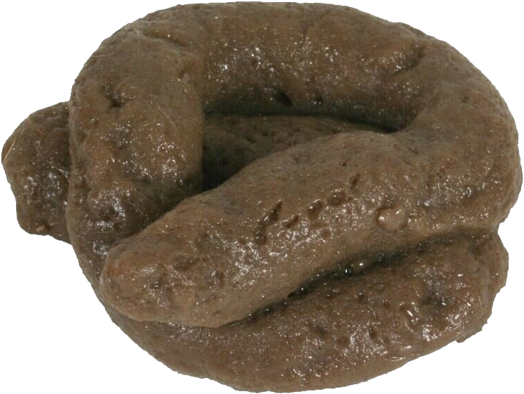 Poop Png - Mr Whippy Dog Poo (993x652), Png Download