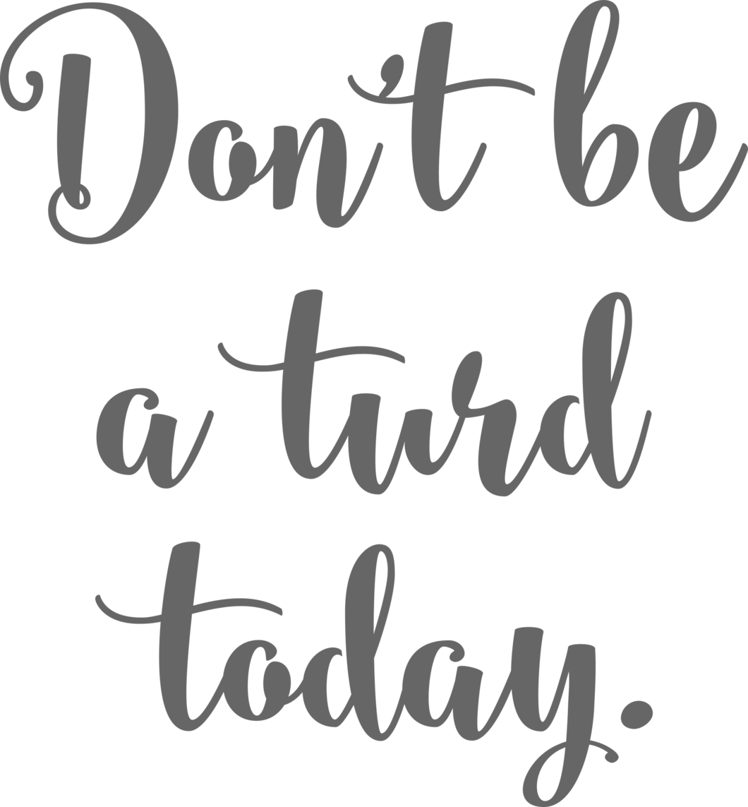Don't Be A Turd Today Adhesive Vinyl Stencil - Dont Be A Turd Today (1060x1143), Png Download