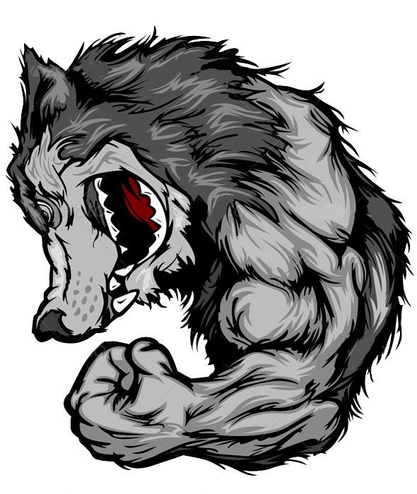 Mascote Lobo - Wolf Mascot Flexing Arm (590x700), Png Download