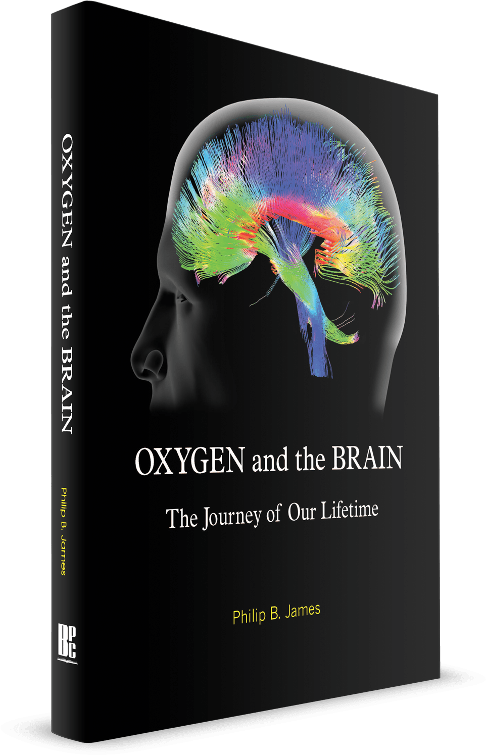 Oxygen And The Brain - Brain Oxygen Partial Pressure (1005x1500), Png Download