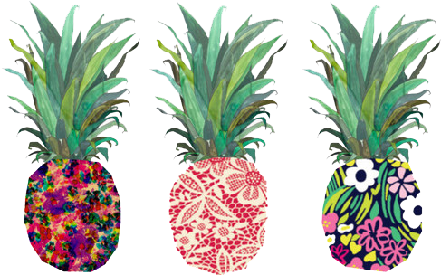 Png Tumblr Transparent Donut - Png Pineapple Transparent (500x303), Png Download