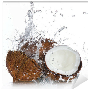 Cracked Coconut With Splashing Water Wall Mural • Pixers® - Hair Chemist Coconut Oil Revitalising Conditioner 300ml (400x400), Png Download