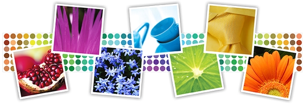 Spray Paint Colors - Color Paint Png (626x213), Png Download