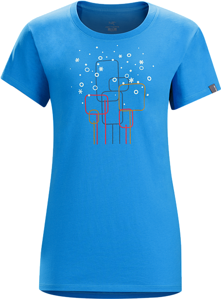 Falling Snow T Shirt Women's Women's Cotton T Shirt - Arc Teryx Falling Snow S/s T Shirt Xl (450x625), Png Download