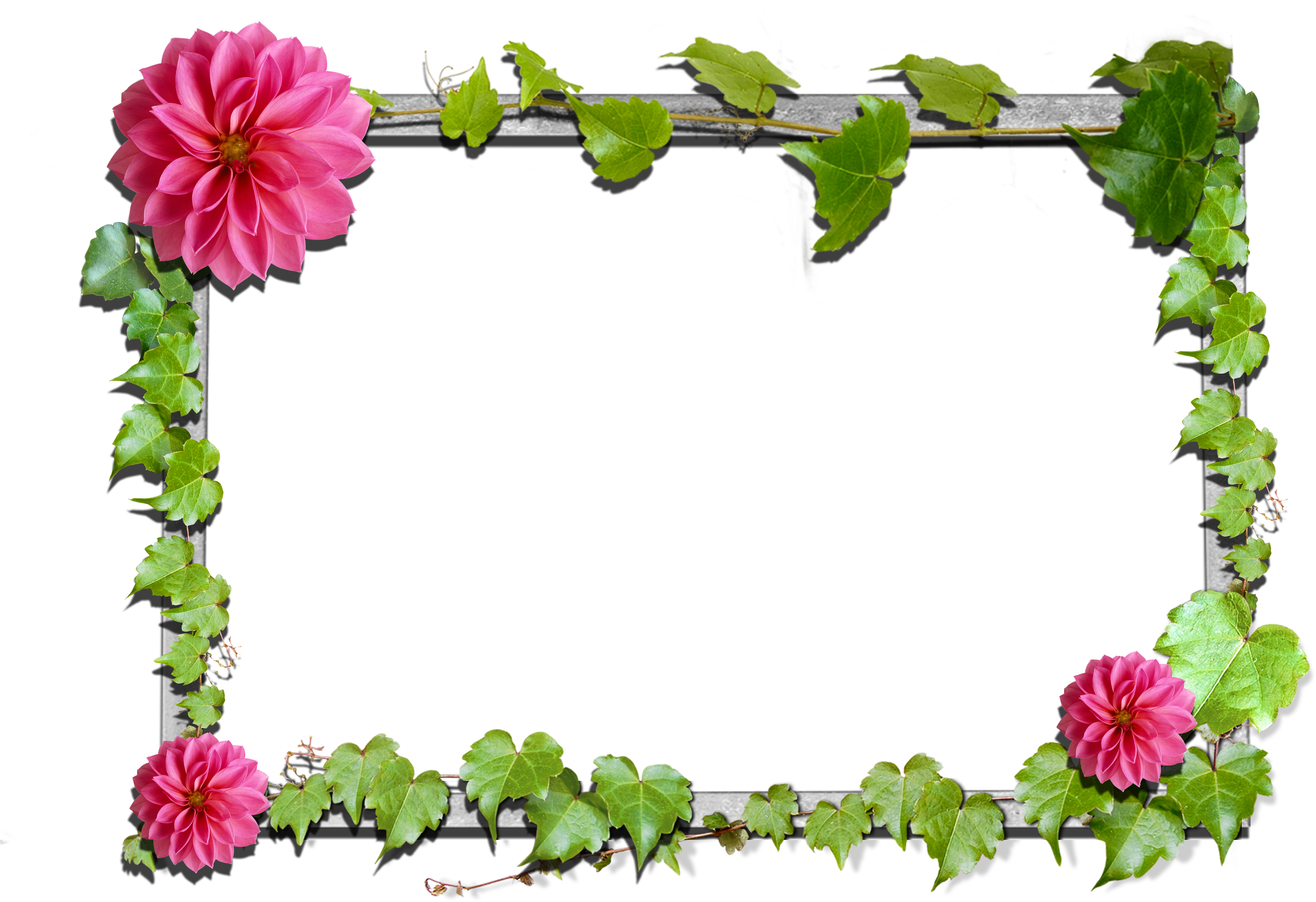 Flowers Frame - Sultan Salahuddin Ayubi Ke Aqwal (3510x2480), Png Download