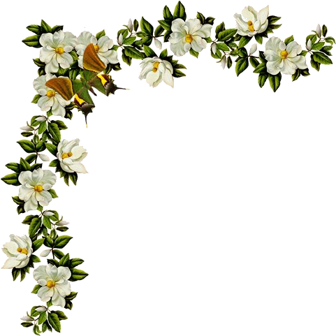 Tendrils Of Flowers - Flower Designs Wedding Png (481x481), Png Download